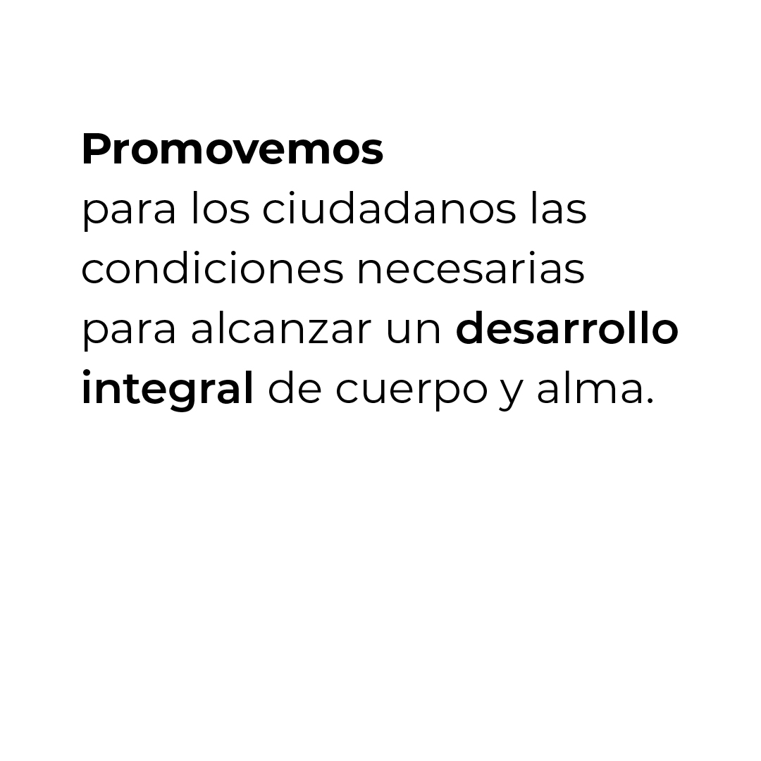 Principio-11